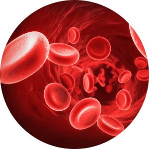 خون و سلول های بنیادی